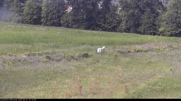 Cell 2 to 3_23-08-27_14-19-48-95