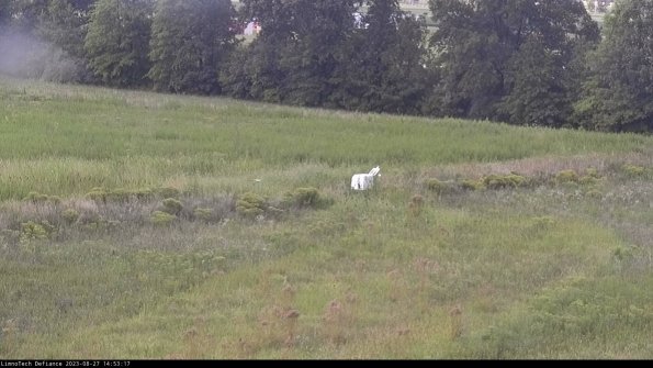 Cell 2 to 3_23-08-27_14-53-18-11