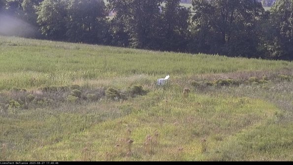 Cell 2 to 3_23-08-27_17-40-47-04