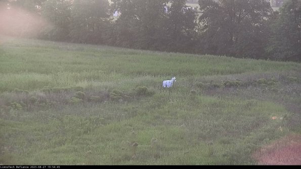 Cell 2 to 3_23-08-27_19-54-46-02