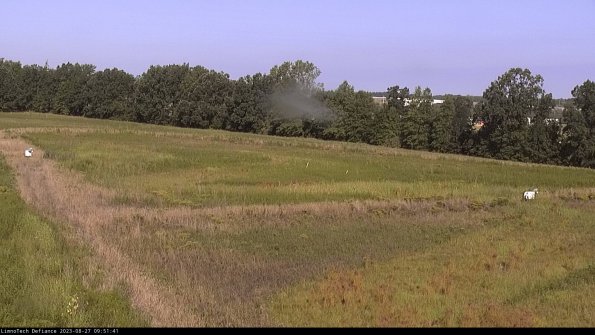 Cell 2_23-08-27_09-51-41-91