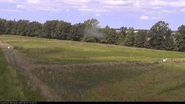 Cell 2_23-08-27_12-05-37-89