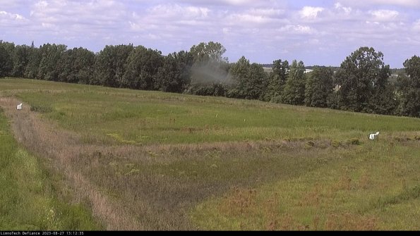 Cell 2_23-08-27_13-12-35-90