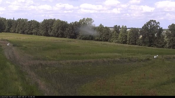 Cell 2_23-08-27_13-46-05-92