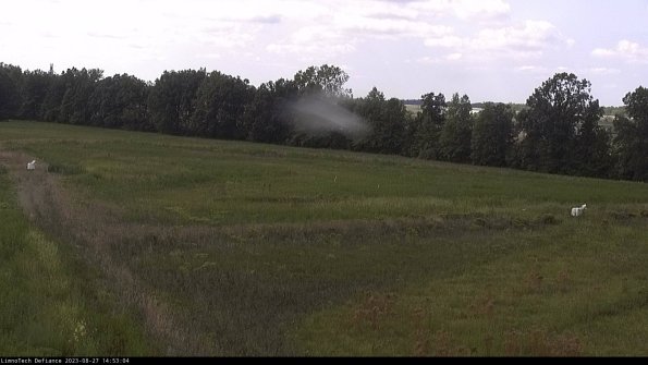 Cell 2_23-08-27_14-53-04-96