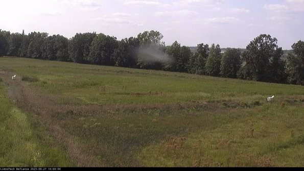 Cell 2_23-08-27_16-00-04-90