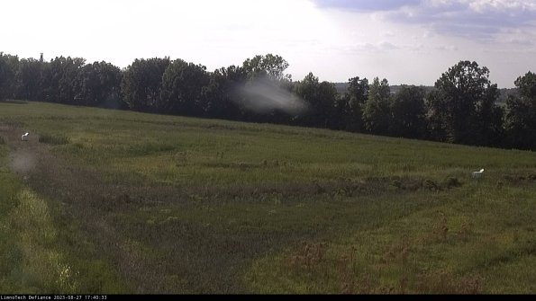 Cell 2_23-08-27_17-40-33-89