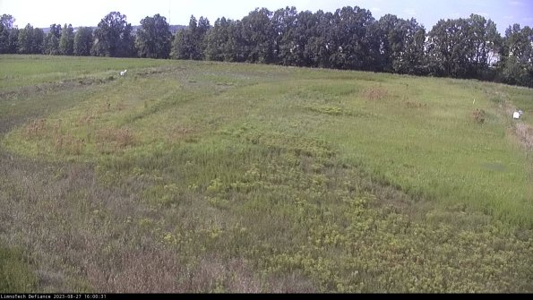 Cell 3_23-08-27_16-00-32-13