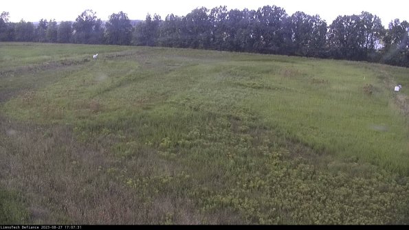 Cell 3_23-08-27_17-07-31-87