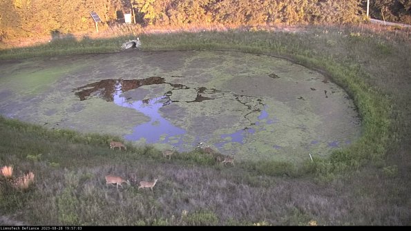 Basin Right_23-08-28_19-57-03-90