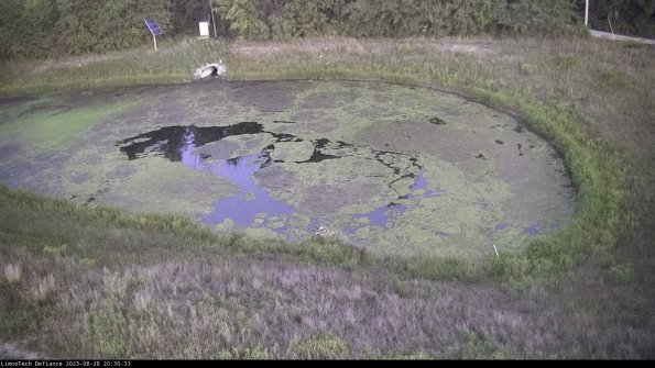 Basin Right_23-08-28_20-30-33-85