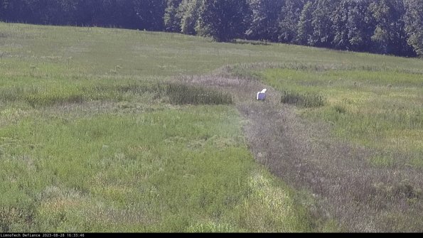 Cell 1 to 2_23-08-28_16-33-46-88