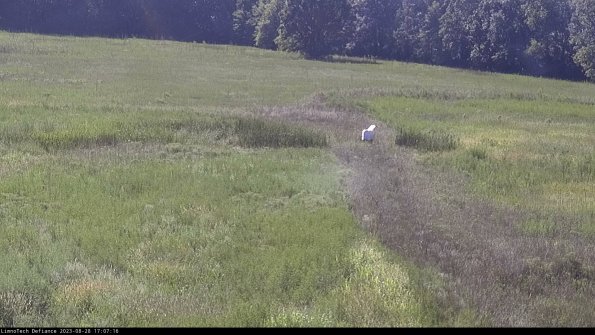 Cell 1 to 2_23-08-28_17-07-16-86