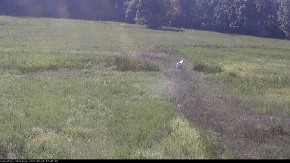 Cell 1 to 2_23-08-28_17-40-45-88