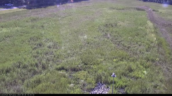 Cell 1_23-08-28_16-33-32-86