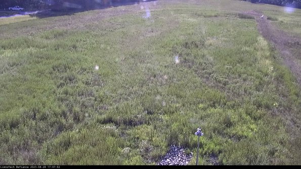 Cell 1_23-08-28_17-07-02-88