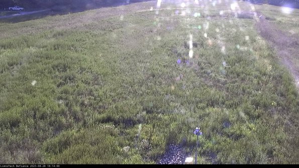 Cell 1_23-08-28_18-14-00-85