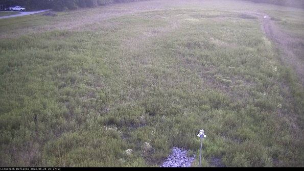 Cell 1_23-08-28_20-27-57-86