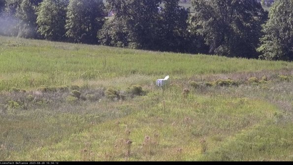 Cell 2 to 3_23-08-28_16-34-13-07