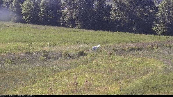 Cell 2 to 3_23-08-28_17-07-42-99