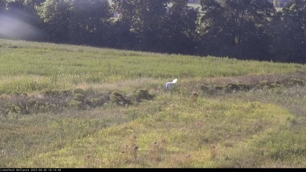 Cell 2 to 3_23-08-28_18-14-41-00