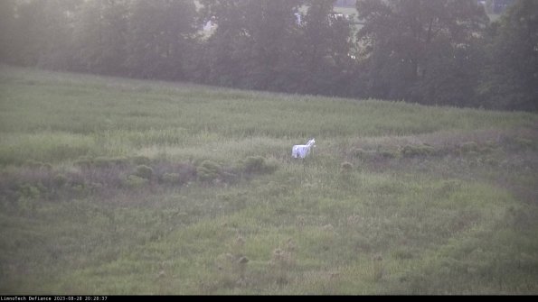 Cell 2 to 3_23-08-28_20-28-37-97