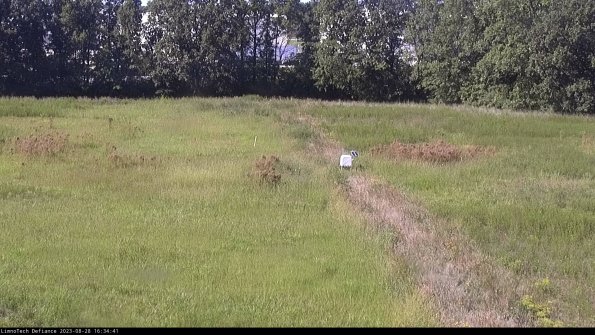 Cell 3 to 4_23-08-28_16-34-41-90