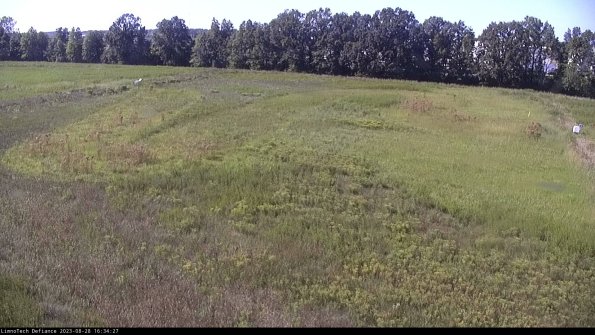 Cell 3_23-08-28_16-34-27-88