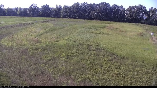 Cell 3_23-08-28_17-41-26-89