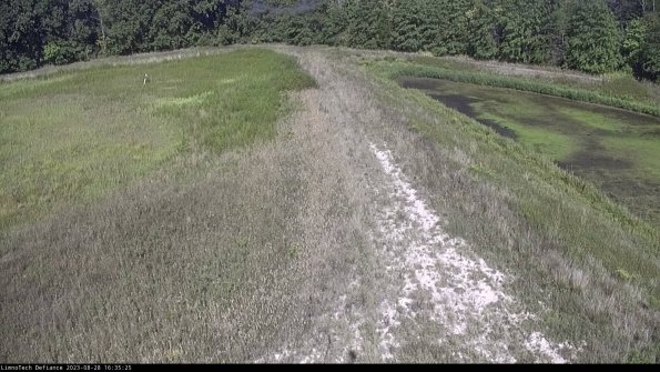 Cell 4 to Basin_23-08-28_16-35-25-88