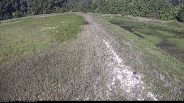 Cell 4 to Basin_23-08-28_17-42-24-88