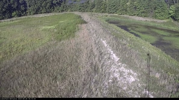 Cell 4 to Basin_23-08-28_18-15-53-87