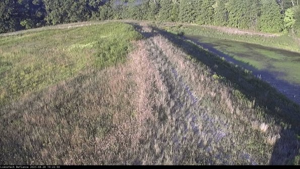 Cell 4 to Basin_23-08-28_19-22-50-87