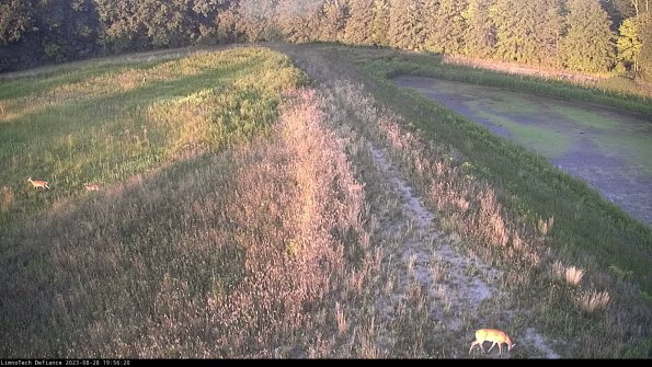 Cell 4 to Basin_23-08-28_19-56-20-92