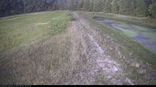 Cell 4 to Basin_23-08-28_20-29-50-88