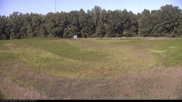 Cell 4_23-08-28_16-34-55-88