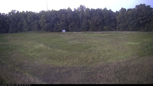 Cell 4_23-08-28_20-29-20-88