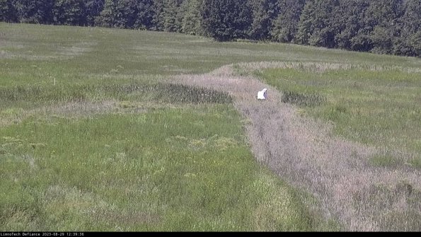 Cell 1 to 2_23-08-29_12-39-36-89