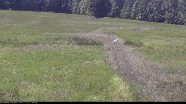 Cell 1 to 2_23-08-29_14-53-35-87