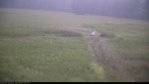 Cell 1 to 2_23-08-29_19-21-33-89