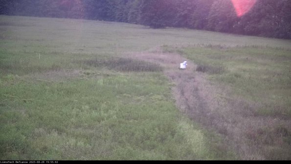 Cell 1 to 2_23-08-29_19-55-02-88