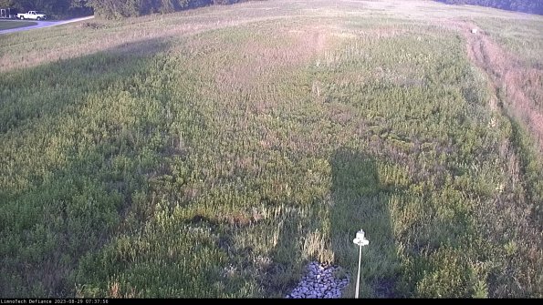 Cell 1_23-08-29_07-37-56-90