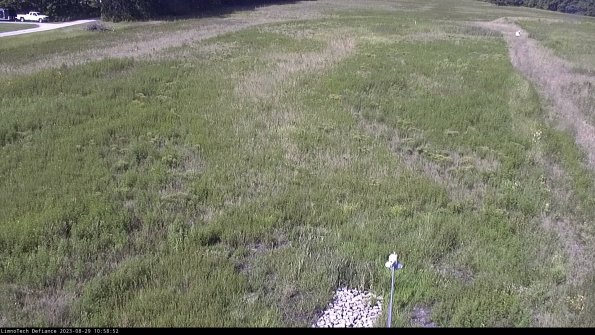 Cell 1_23-08-29_10-58-52-88