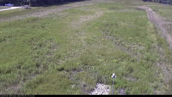 Cell 1_23-08-29_13-12-52-90