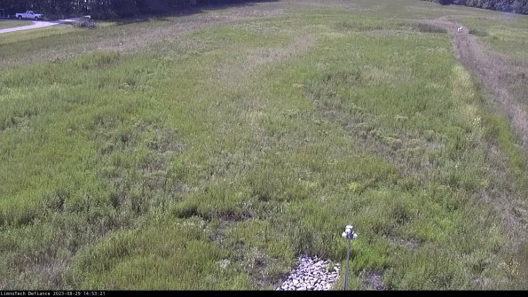 Cell 1_23-08-29_14-53-21-89