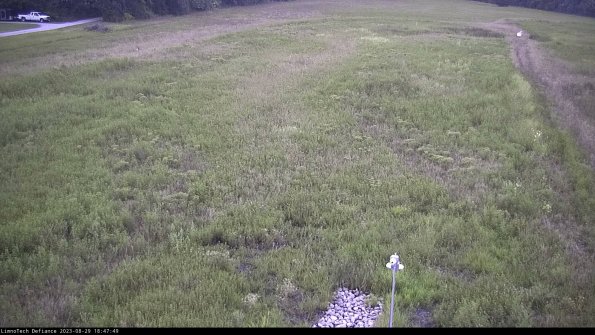 Cell 1_23-08-29_18-47-49-89