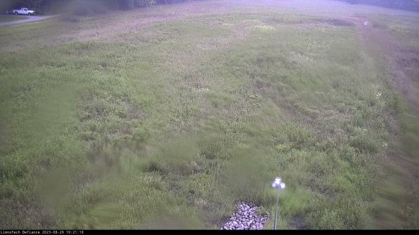 Cell 1_23-08-29_19-21-19-88