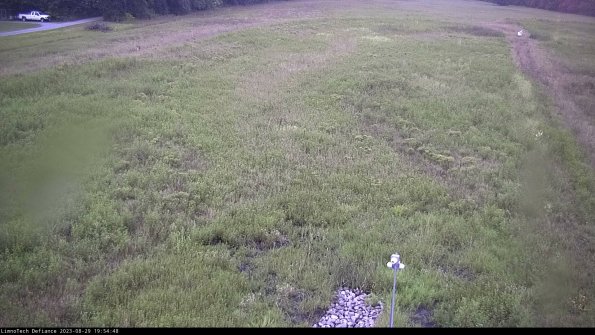 Cell 1_23-08-29_19-54-48-86