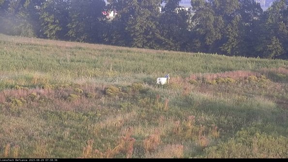 Cell 2 to 3_23-08-29_07-38-37-04