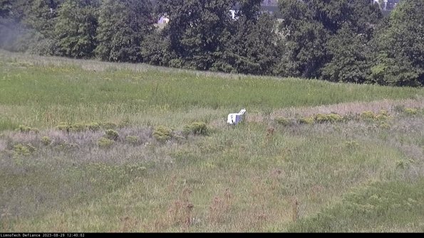 Cell 2 to 3_23-08-29_12-40-02-98